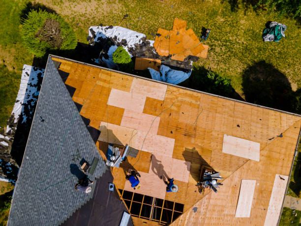 Best Shingle Roofing Installation  in Butner, NC